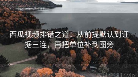 西瓜视频排错之道：从前提默认到证据三连，再把单位补到图旁