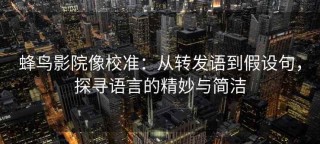 蜂鸟影院像校准：从转发语到假设句，探寻语言的精妙与简洁