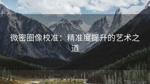微密圈像校准：精准度提升的艺术之道
