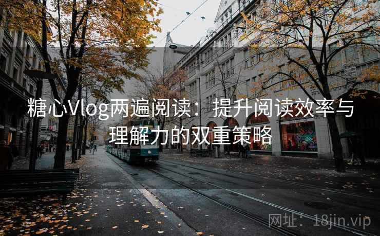 糖心Vlog两遍阅读：提升阅读效率与理解力的双重策略